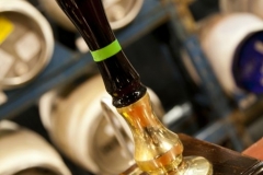 CAMRA-CLV-Ale-Arty-7661